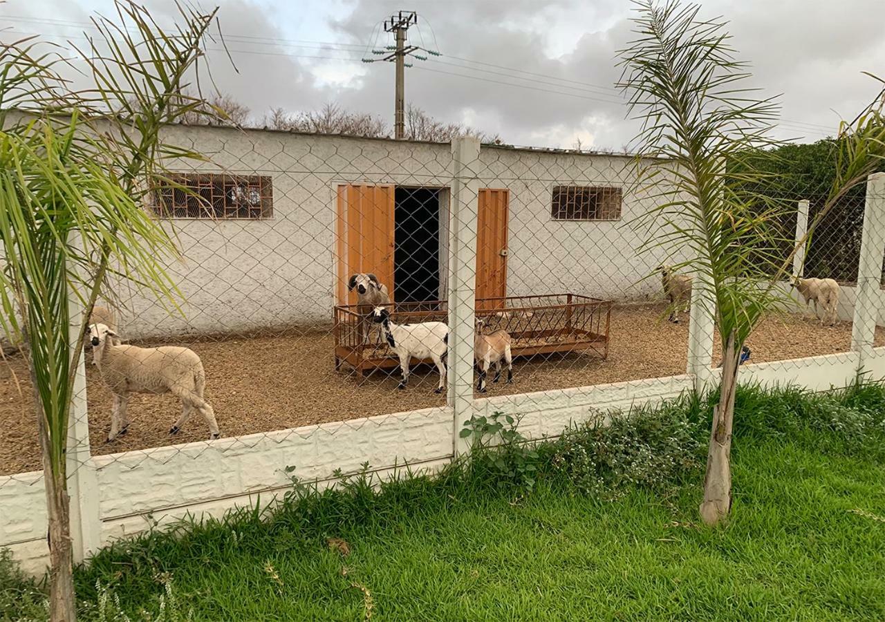 Palm Grove Farm Villa Tit Mellil Exterior photo